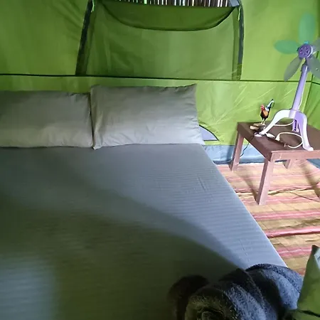 Tony'S Country Glamping With Chalet With Private Wash Room Accommodation El Nido Exterior photo